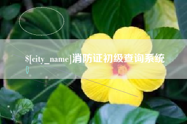 瓦房店消防证初级查询系统