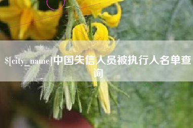 瓦房店中国失信人员被执行人名单查询