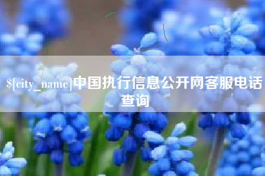 瓦房店中国执行信息公开网客服电话查询