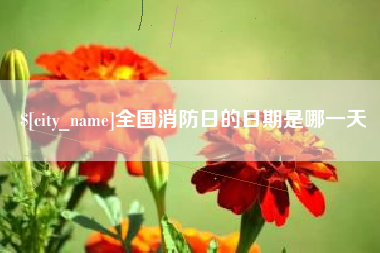 瓦房店全国消防日的日期是哪一天