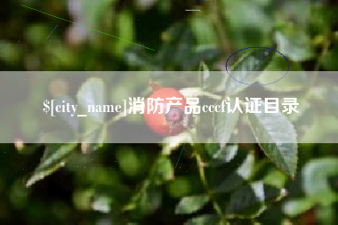 瓦房店消防产品cccf认证目录
