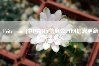 瓦房店中国执行信息公开网信息更新时间是多久