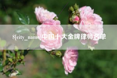 瓦房店中国十大金牌律师名单