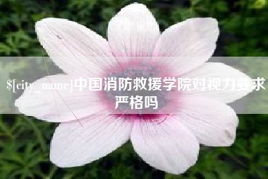 瓦房店中国消防救援学院对视力要求严格吗