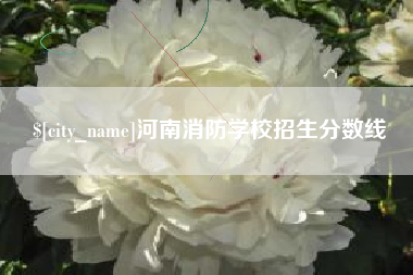 瓦房店河南消防学校招生分数线