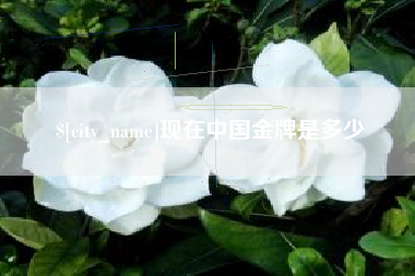 瓦房店现在中国金牌是多少