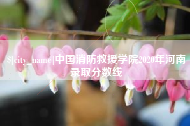瓦房店中国消防救援学院2020年河南录取分数线