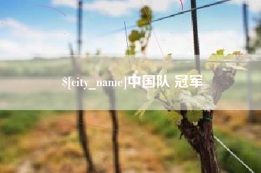 瓦房店中国队 冠军