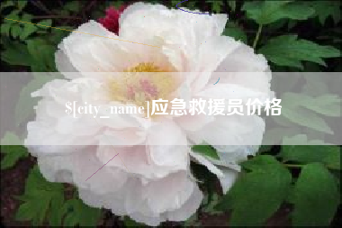 瓦房店应急救援员价格