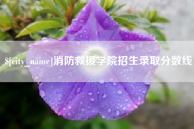 瓦房店消防救援学院招生录取分数线