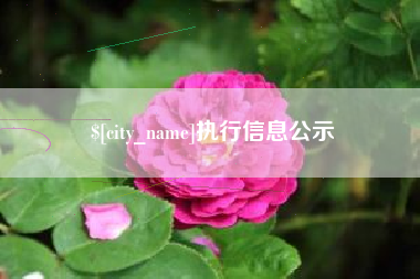 瓦房店执行信息公示
