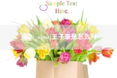 瓦房店王子豪是怎么写
