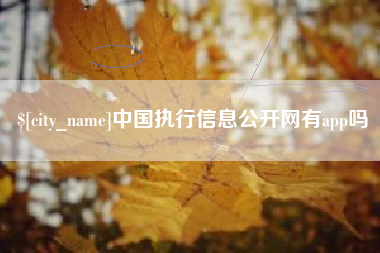 瓦房店中国执行信息公开网有app吗