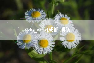 瓦房店成都 消防