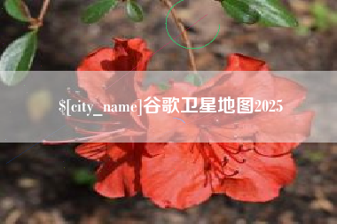 瓦房店谷歌卫星地图2025