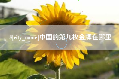 瓦房店中国的第九枚金牌在哪里