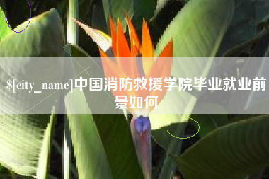 瓦房店中国消防救援学院毕业就业前景如何