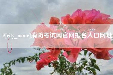 瓦房店消防考试网官网报名入口网址