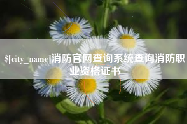瓦房店消防官网查询系统查询消防职业资格证书