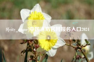 瓦房店中国消防官网报名入口2024