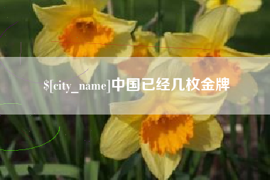 瓦房店中国已经几枚金牌