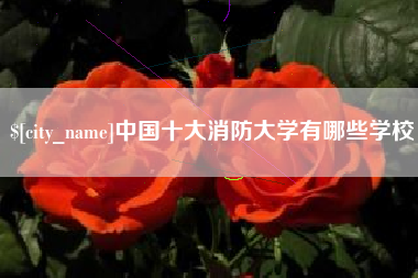 瓦房店中国十大消防大学有哪些学校