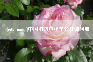 瓦房店中国消防中小学公开课回放