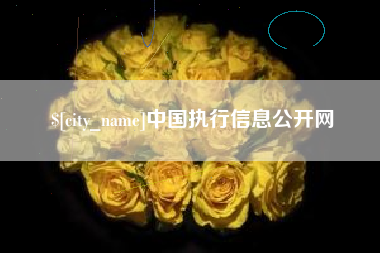 瓦房店中国执行信息公开网