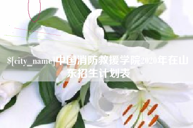 瓦房店中国消防救援学院2020年在山东招生计划表