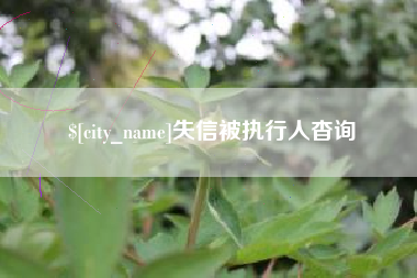 瓦房店失信被执行人杳询