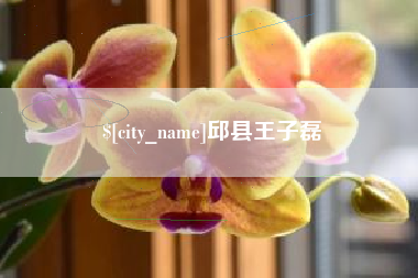 瓦房店邱县王子磊