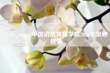 瓦房店中国消防救援学院2020年录取结果