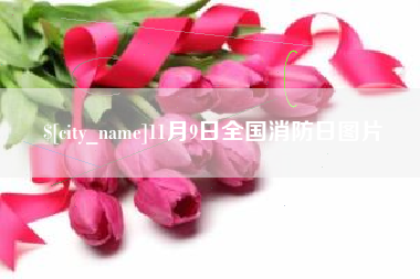 瓦房店11月9日全国消防日图片