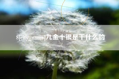 瓦房店九金十银是干什么的