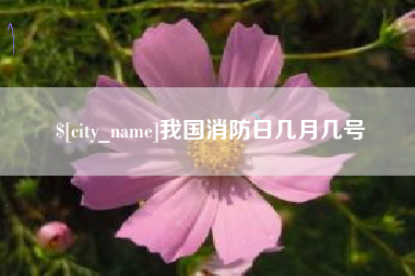 瓦房店我国消防日几月几号