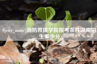 瓦房店消防救援学院报考条件湖南招生多少分