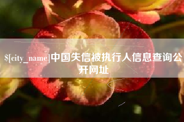 瓦房店中国失信被执行人信息查询公开网址