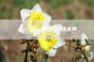 瓦房店奥运会39块金牌