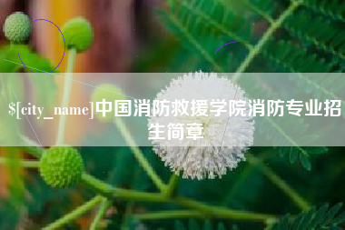 瓦房店中国消防救援学院消防专业招生简章