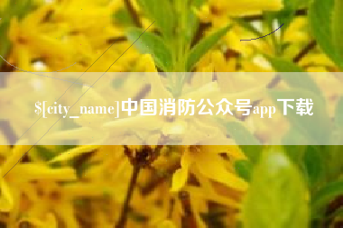 瓦房店中国消防公众号app下载