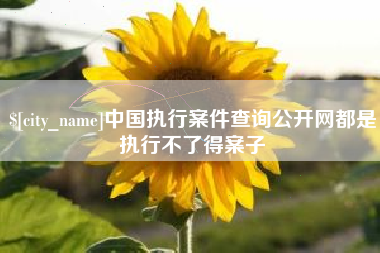 瓦房店中国执行案件查询公开网都是执行不了得案子