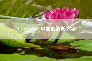 瓦房店中国的消防大学