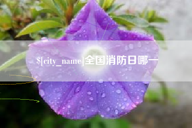 瓦房店全国消防日哪一
