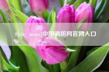 瓦房店中国消防网官网入口