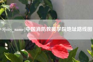 瓦房店中国消防救援学院地址路线图