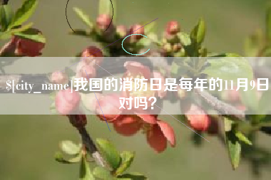 瓦房店我国的消防日是每年的11月9日对吗？