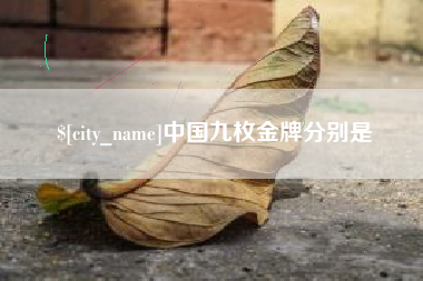 瓦房店中国九枚金牌分别是