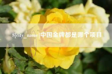 瓦房店中国金牌都是哪个项目