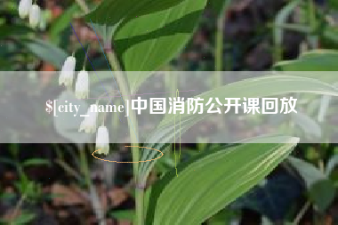 瓦房店中国消防公开课回放