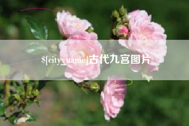 瓦房店古代九宫图片